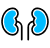 Complicação renal